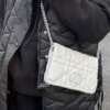 dior1